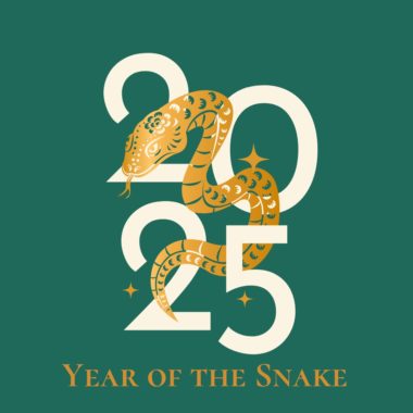 Year of the Snake