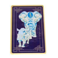 Anti-Burglary Card 2026