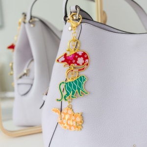 Chinese Astrology Ally Amulets